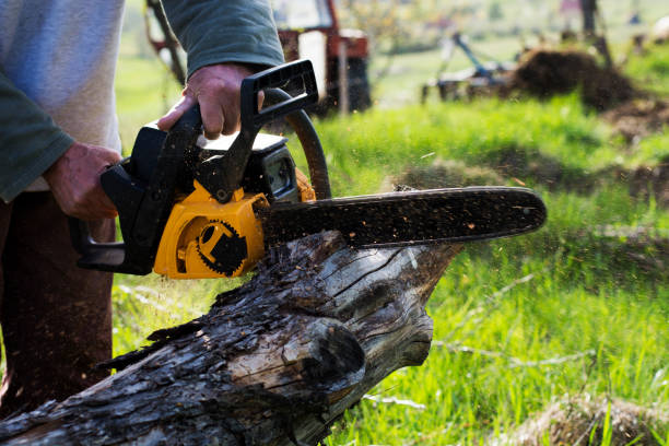 Mulching Services in Sundance, WY